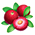 Yamamomo